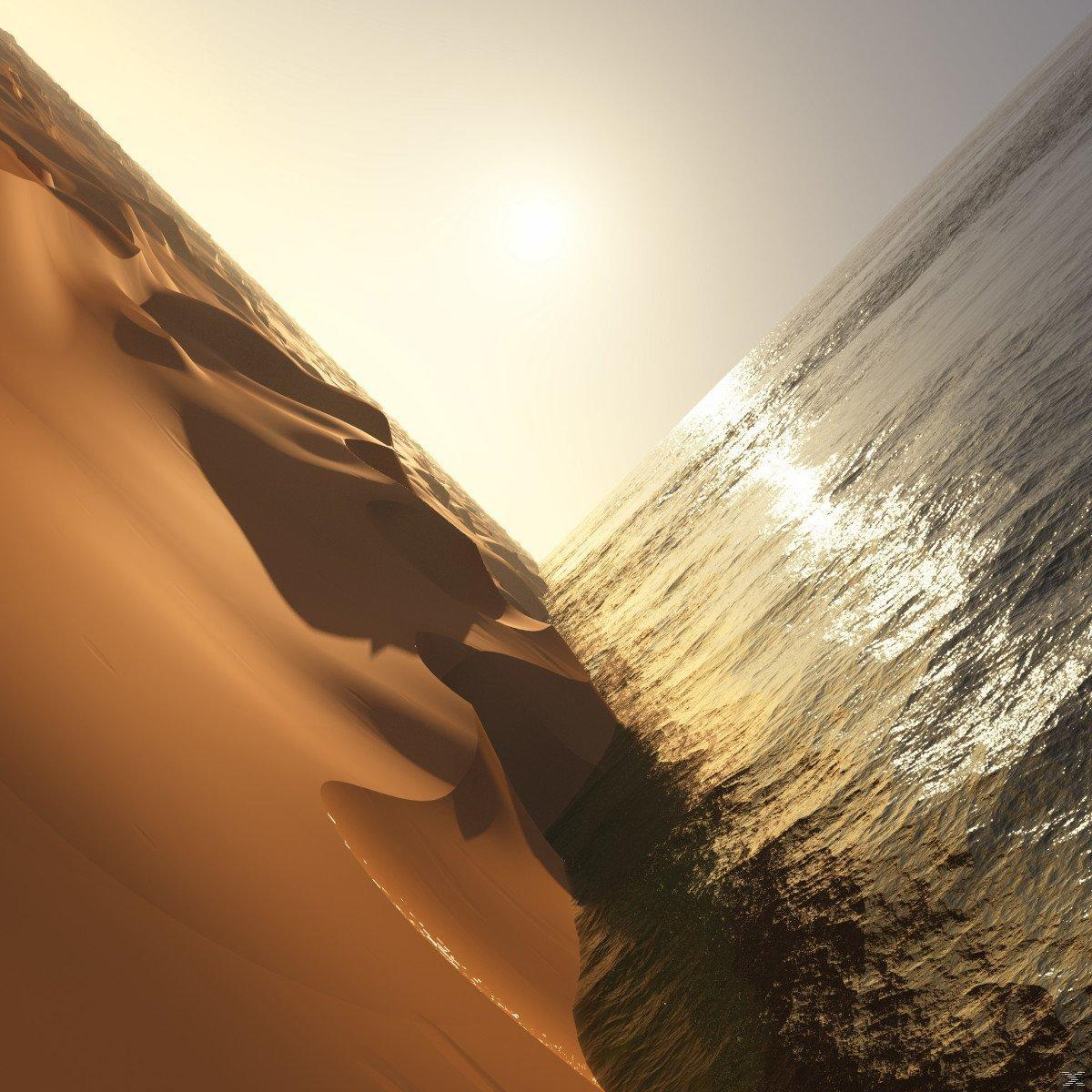Scène de dunes de sable et d'océan. Le soleil brille. Perspective angulaire.