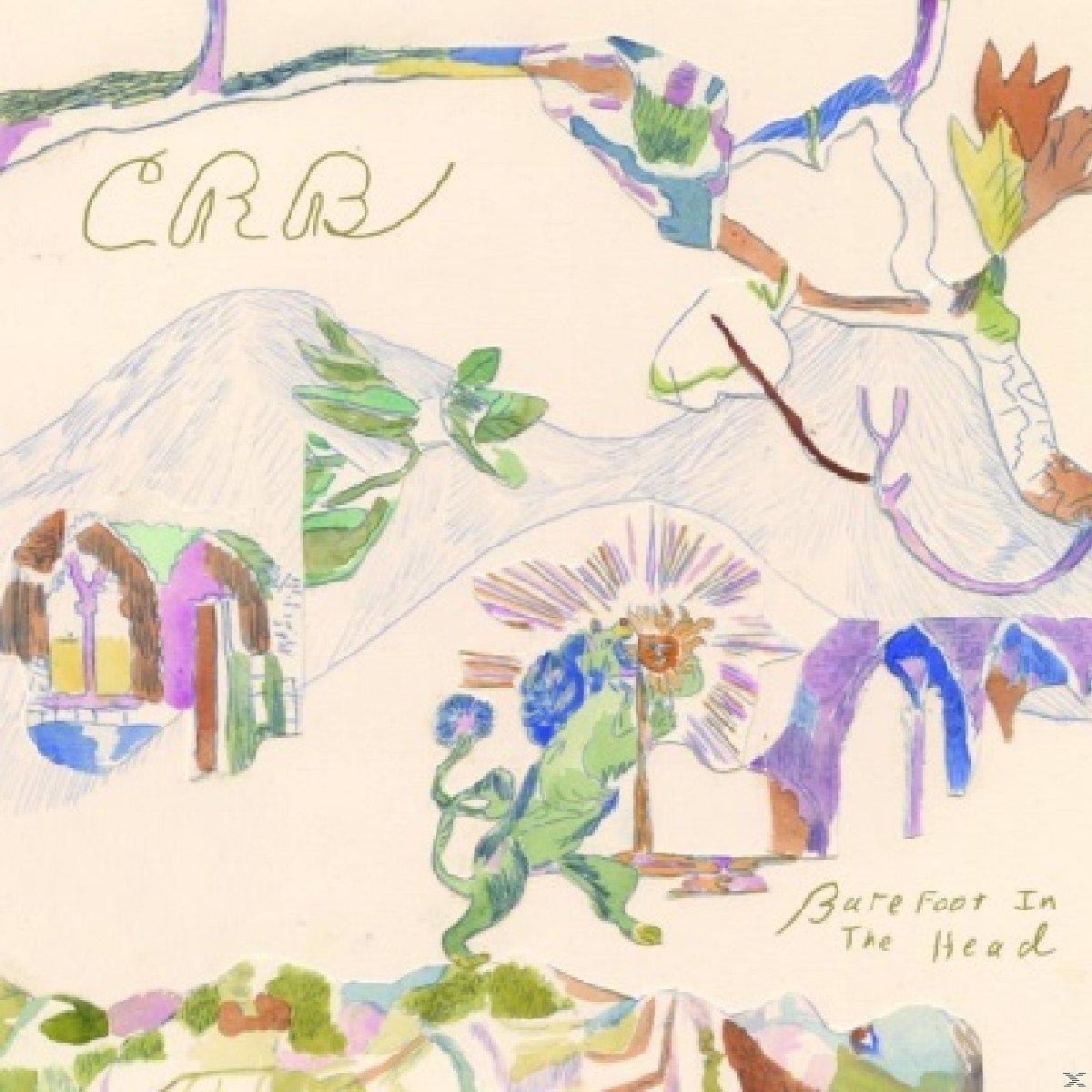Chris Robinson Brotherhood (Vinyl) In - - Head The Barefoot