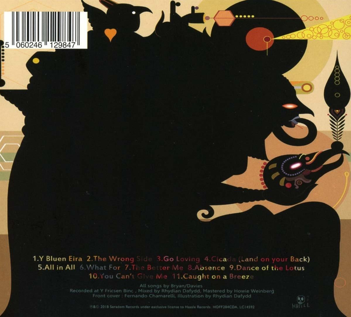 The Joy Formidable - Aaarth  - (CD)