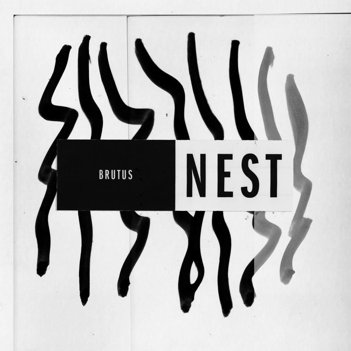 Pochette d'album. Lignes noires et texte. Titre : Brutus Nest.