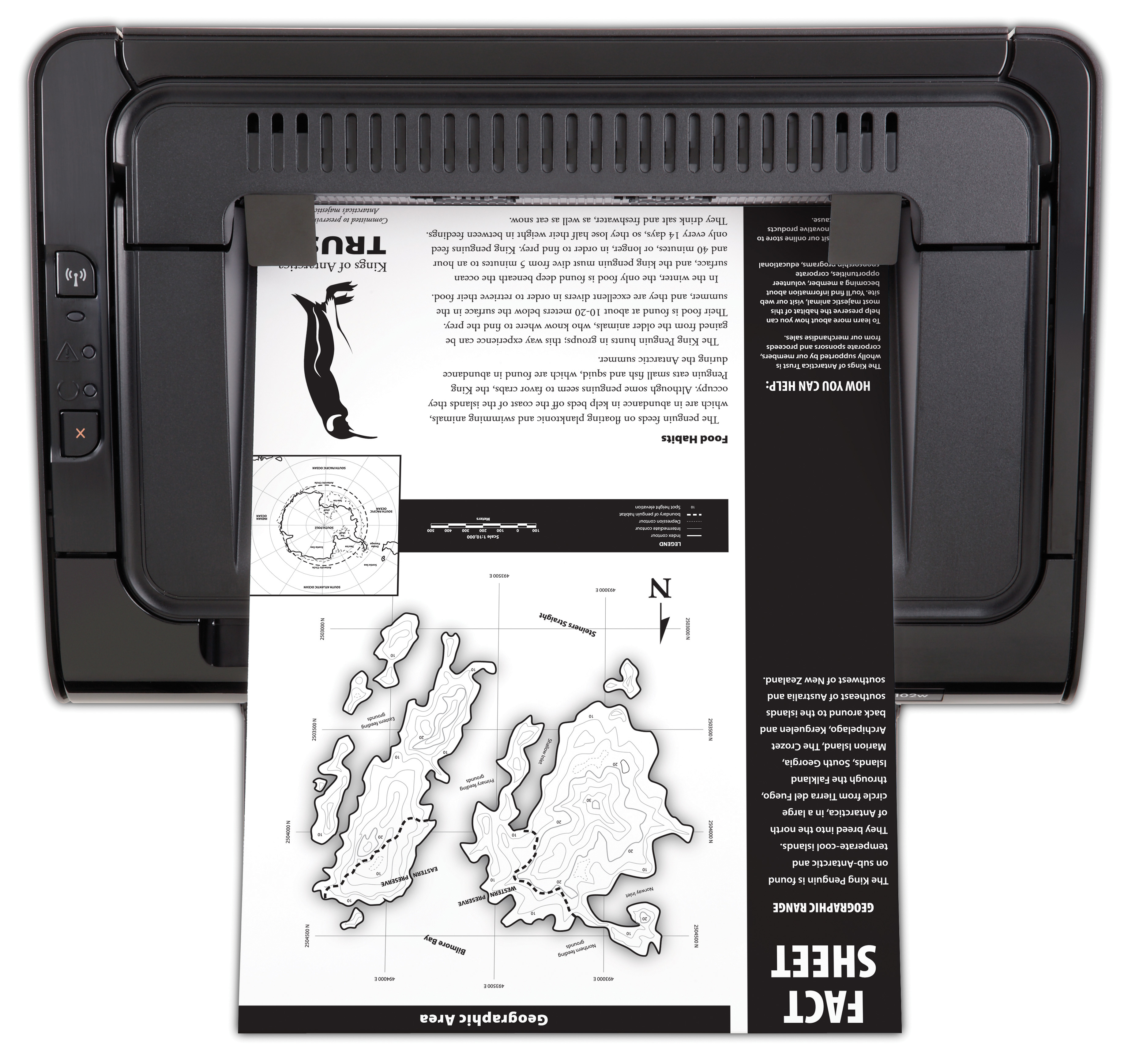 Impresora Láser - HP LaserJet P1102W