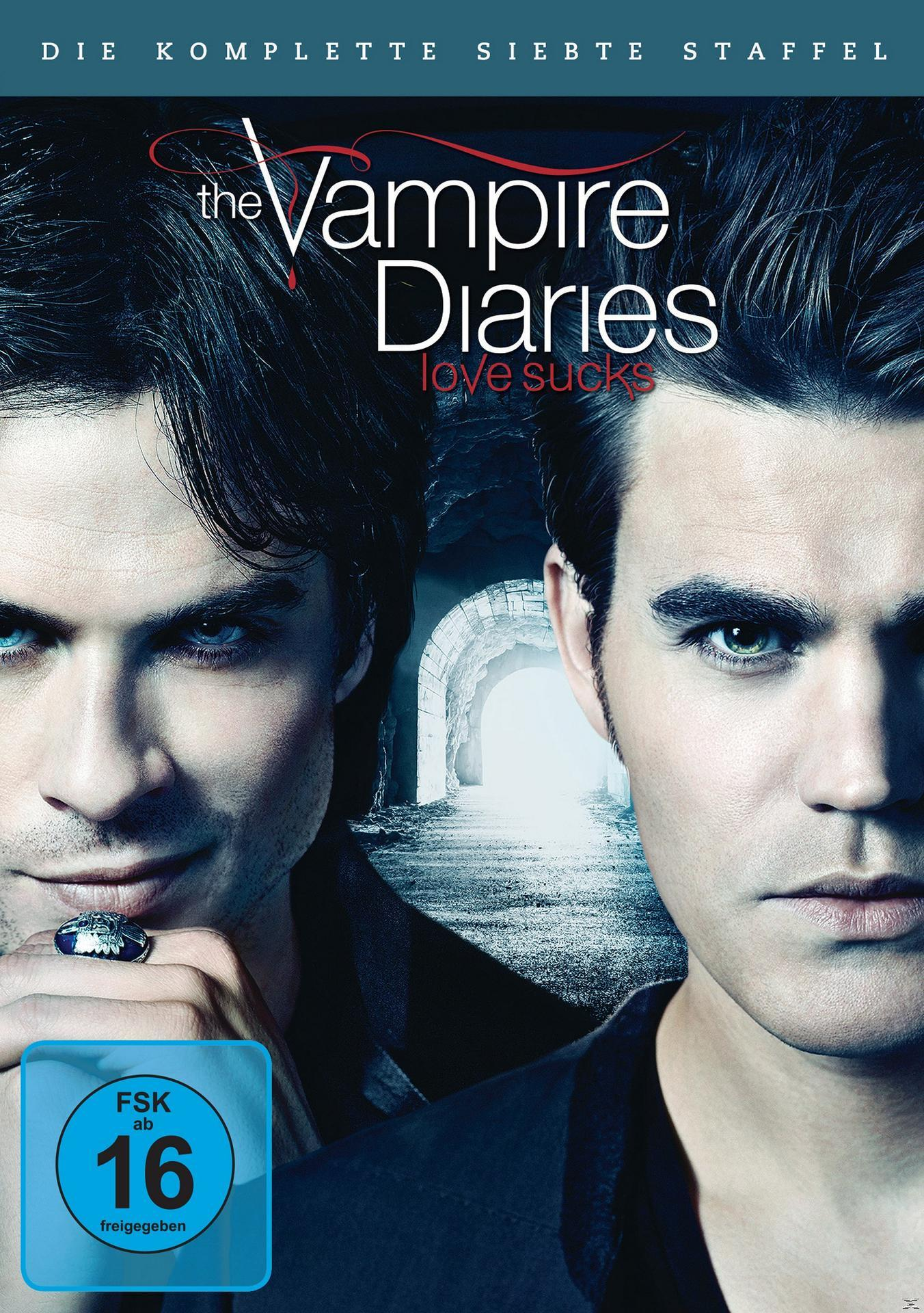 Zwei Männer vor einem beleuchteten Torbogen. "The Vampire Diaries" Logo.