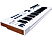 ARTURIA KeyLab Essential 49 - MIDI/USB Keyboard Controller (Weiss)