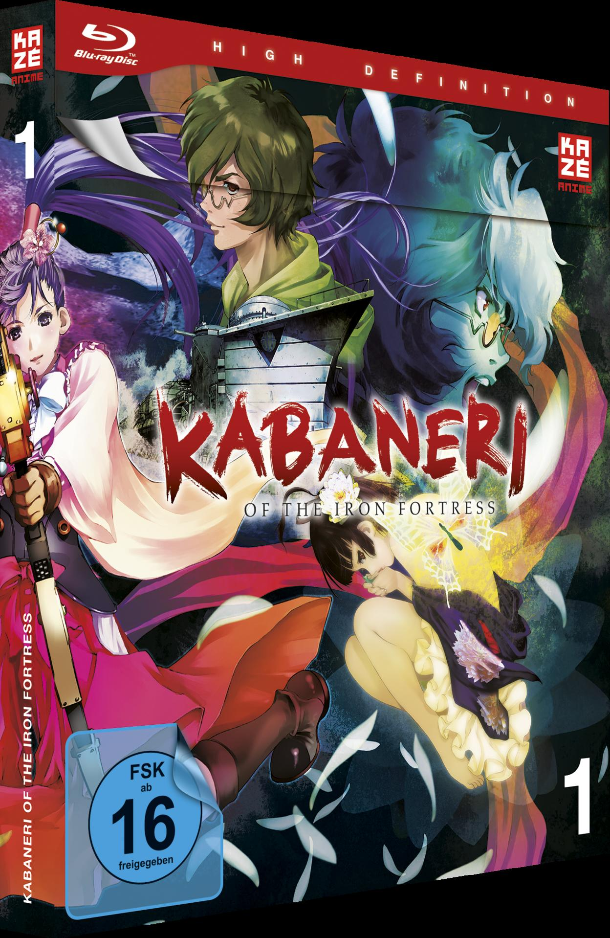Anime-DVD-Cover mit zwei Anime-Charakteren und einem Titel.