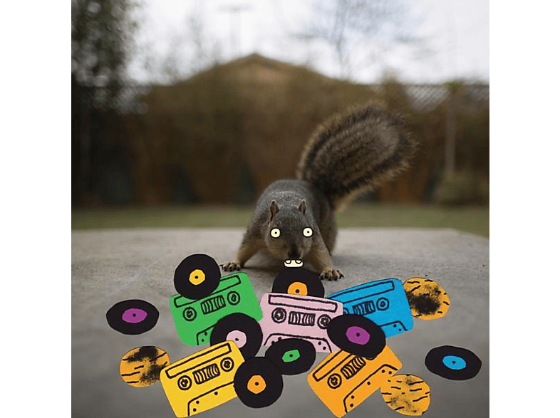 Evidence - SQUIRREL.. -DOWNLOAD-  - (Vinyl)