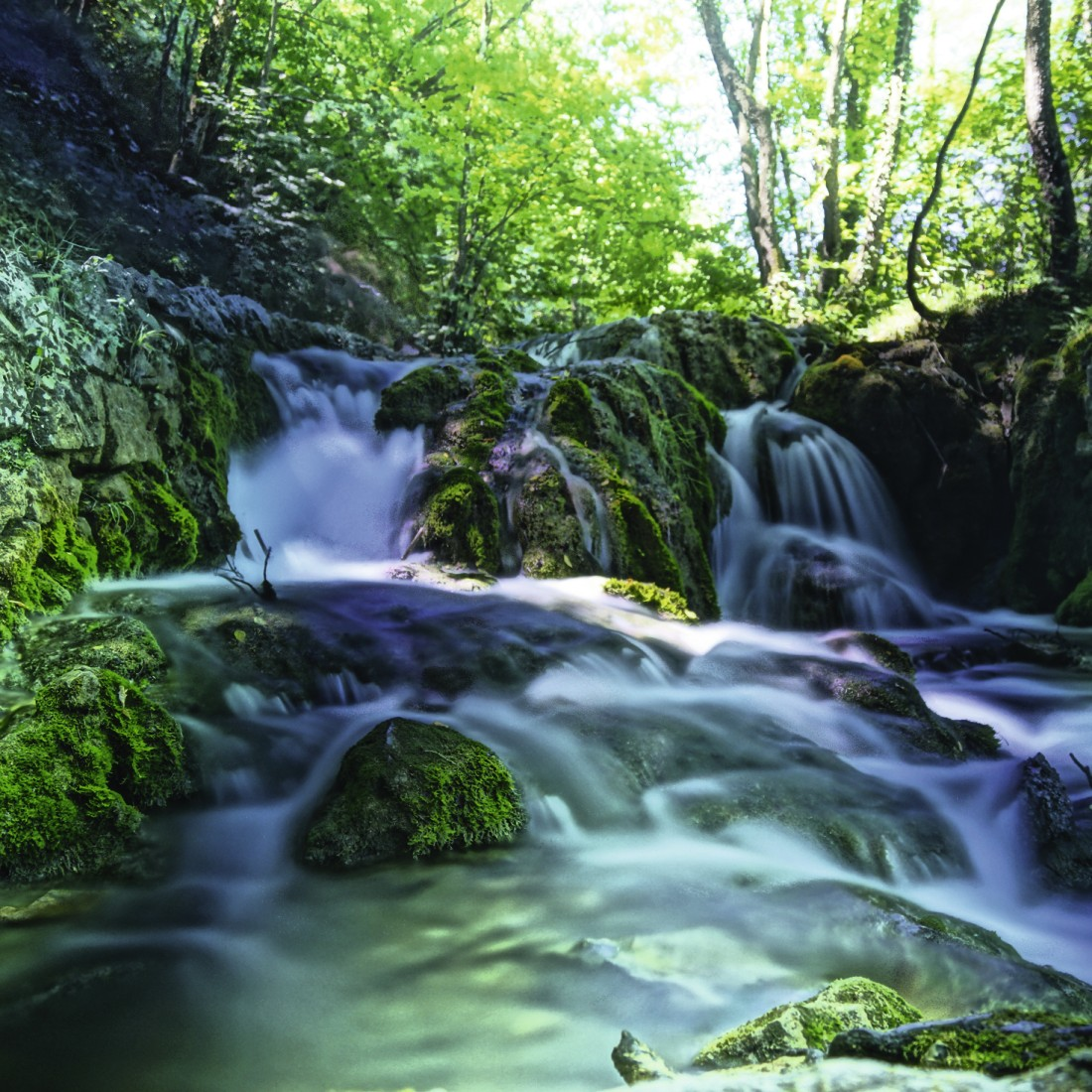 A waterfall cascading over mossy rocks in a green forest.