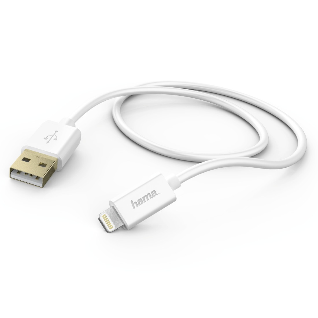White USB to Lightning cable. The cable is on a white background. It has a gold USB connector.