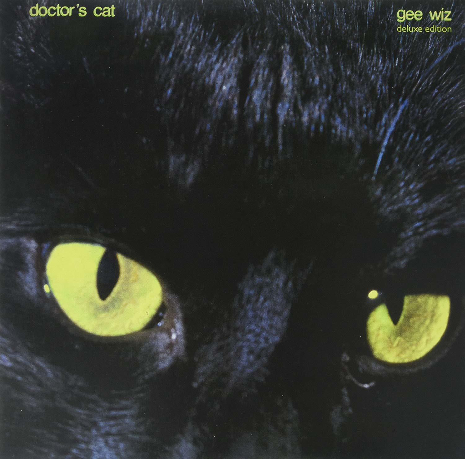 Albumcover mit Augen einer schwarzen Katze. Text: doctor's cat gee wiz deluxe edition.