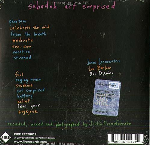 Sebadoh - Act Surprised  - (CD)