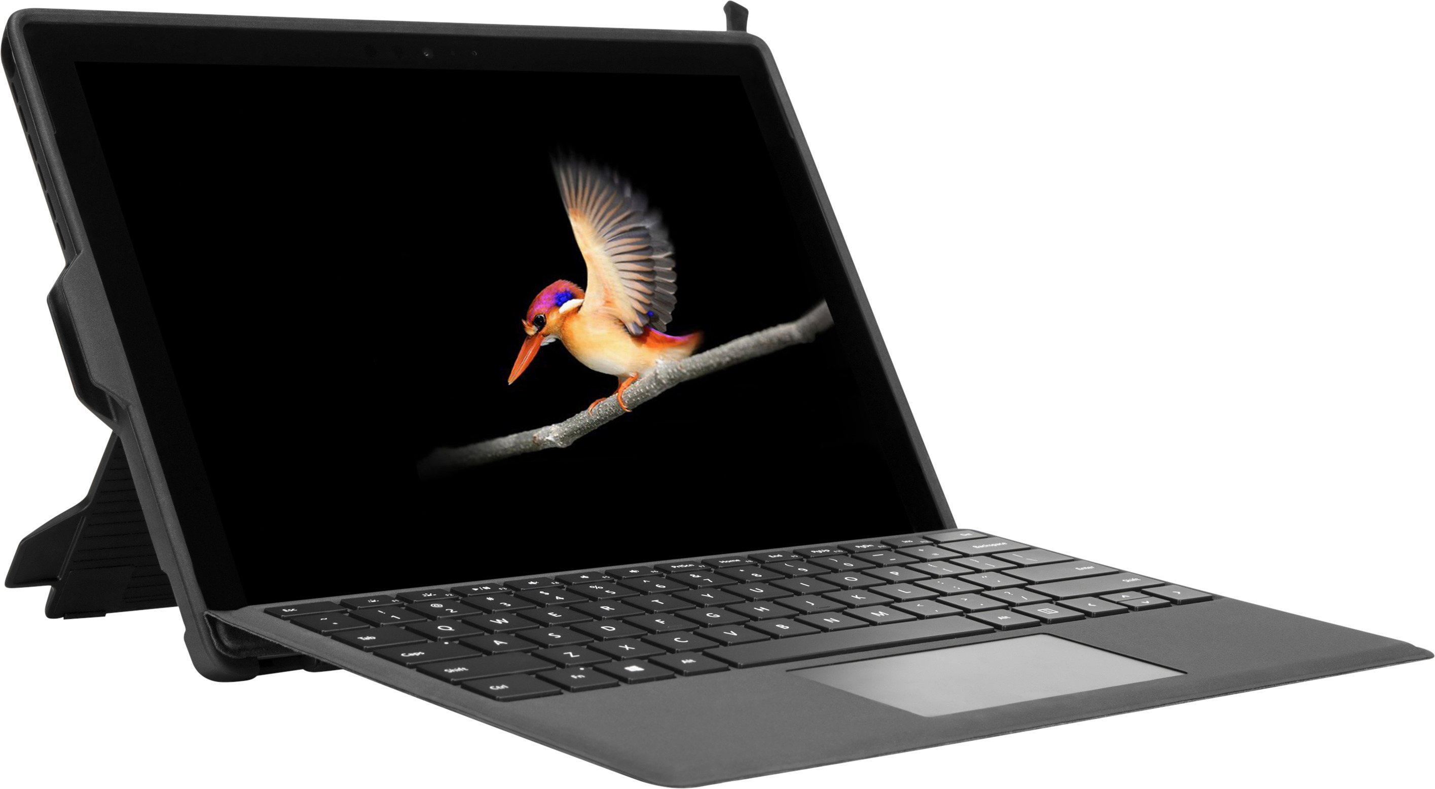 Grauer Laptop mit schwarzer Tastatur und einem Bildschirm, der einen Vogel auf einem Ast zeigt. Der Laptop ist geöffnet.
