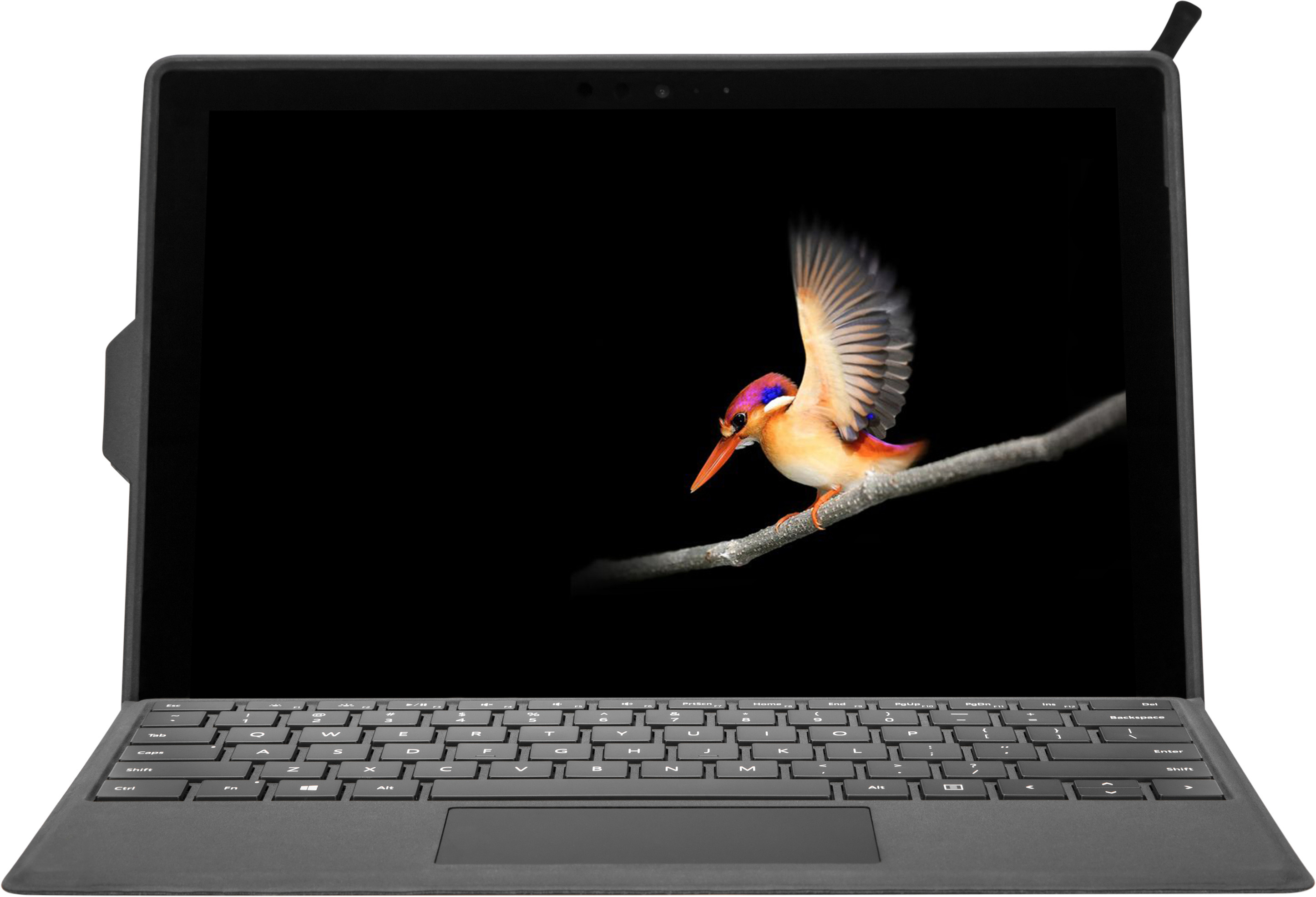 Laptop-Bildschirm mit einem Vogel, der vor schwarzem Hintergrund auf einem Ast landet.
