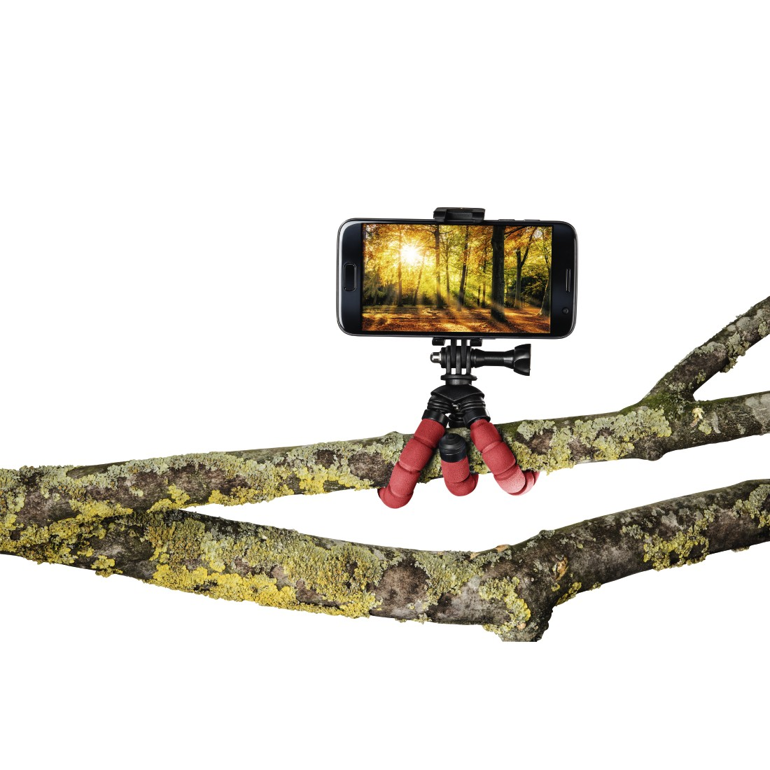 Een smartphone op een rood en zwart statief bevestigd aan een boomtak met groen mos.