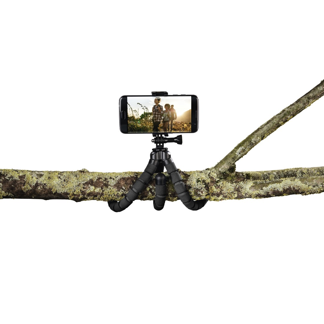 Tripod with a smartphone attached, on a tree branch. The phone shows a picture of people.