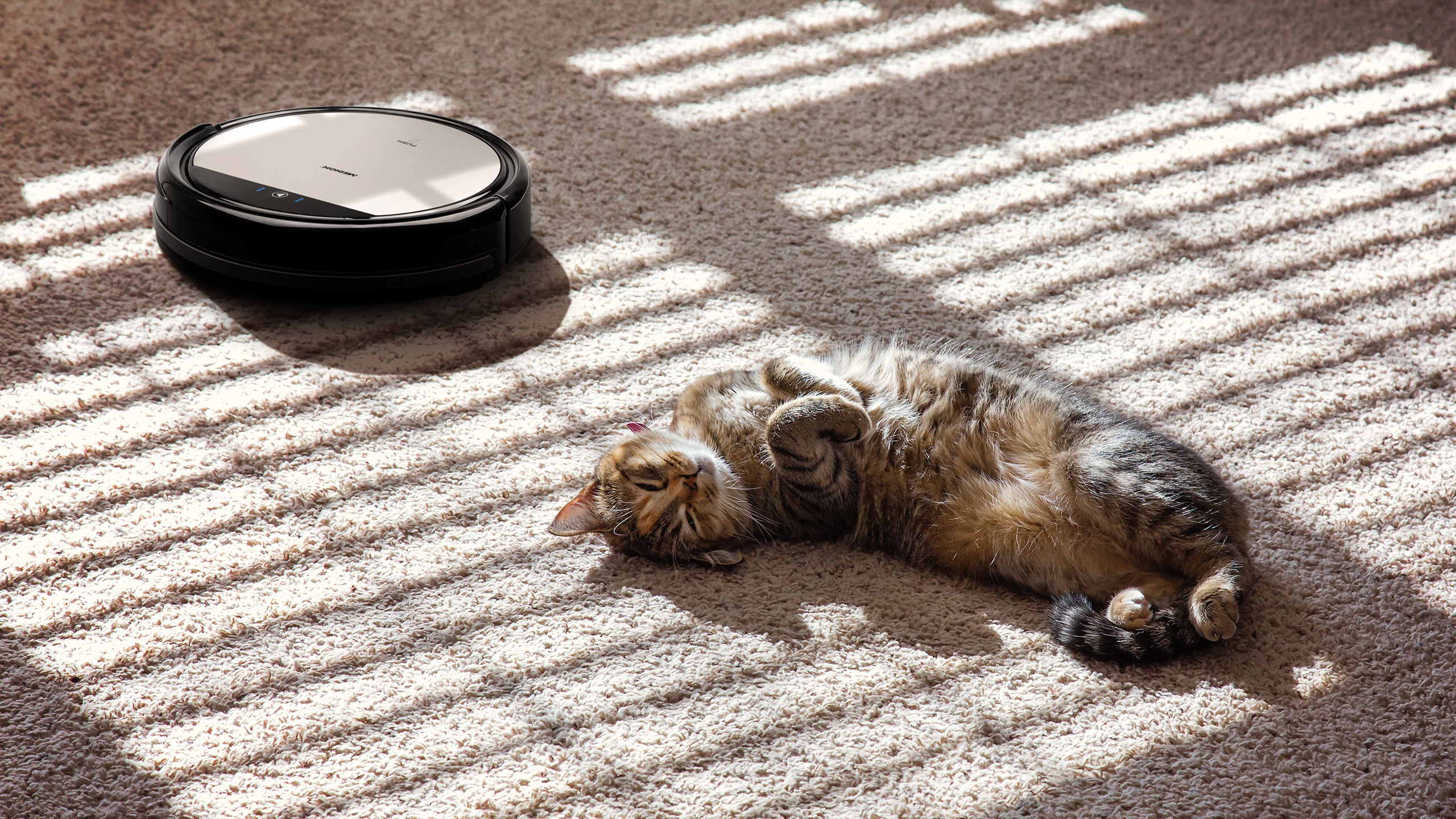 Eine Katze liegt auf dem Rücken neben einem runden, schwarzen Roboter-Staubsauger auf einem Teppich.