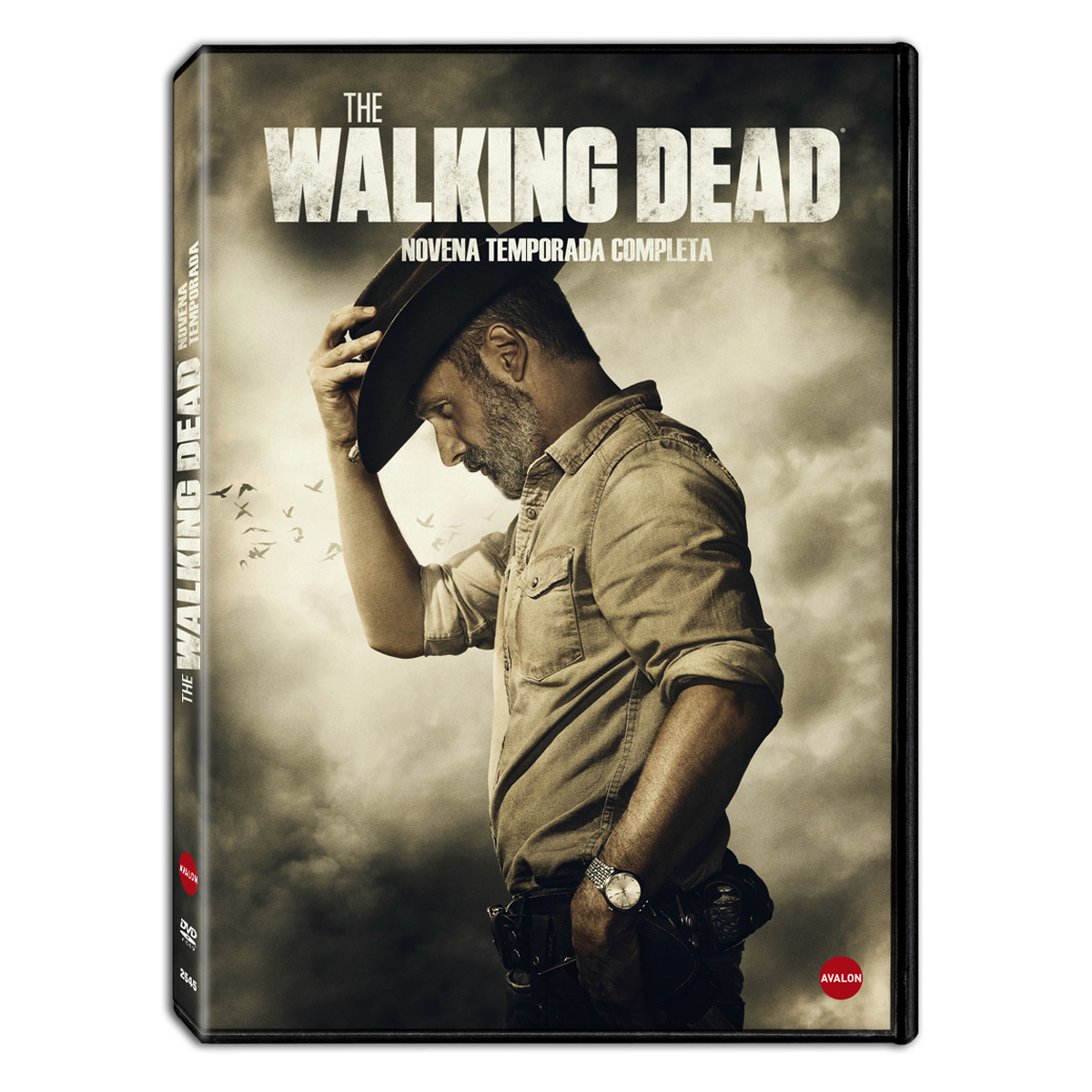 The Walking Dead - Temporada 9 - DVD