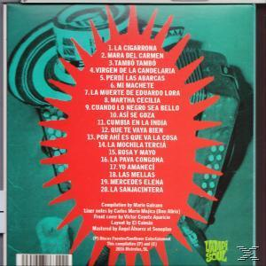 CD-Cover mit rotem Sternmuster und spanischen Titeln. Akkordeon im Hintergrund.