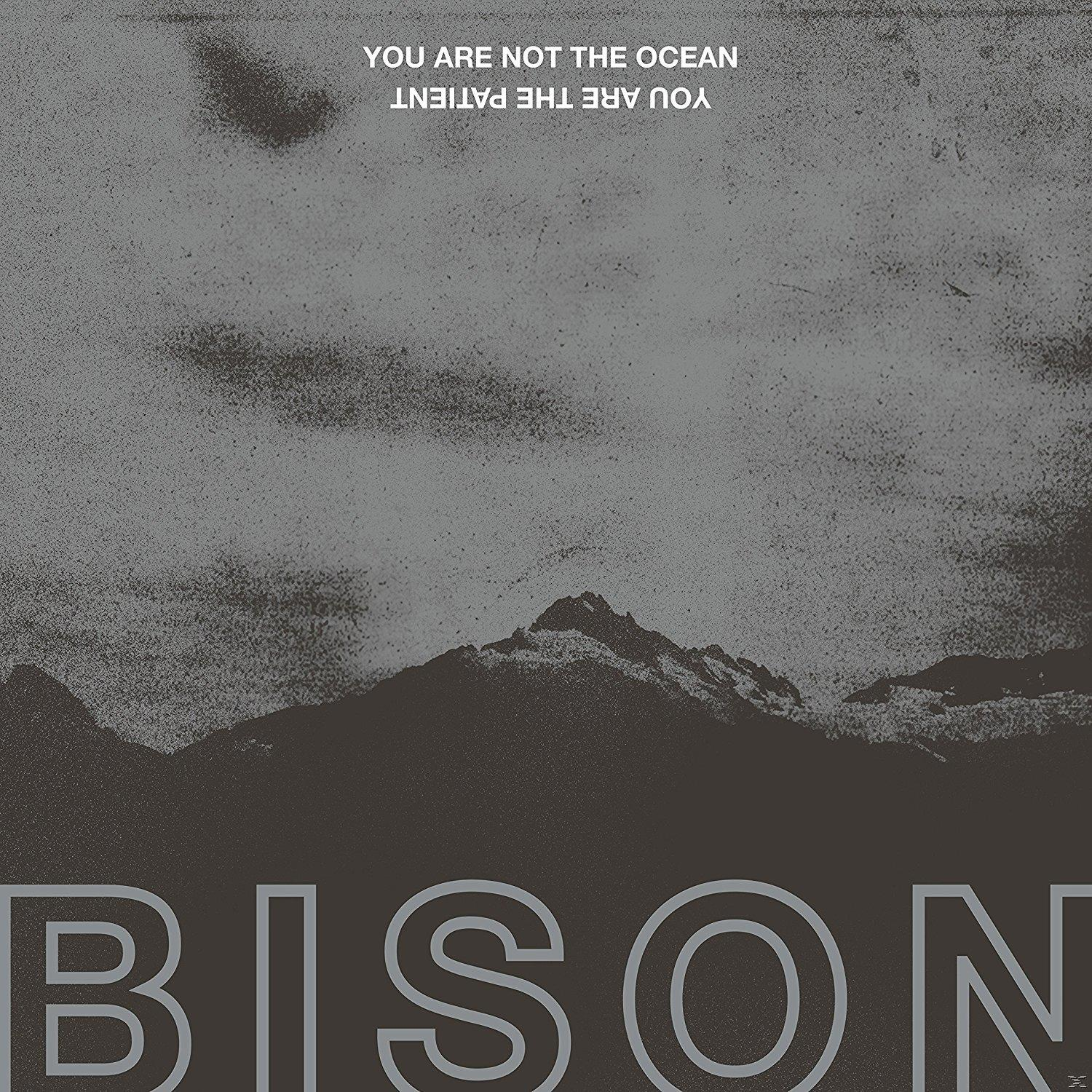 Albumcover: Berglandschaft, mit Text 'You are not the ocean, You are the patient' und 'BISON'.