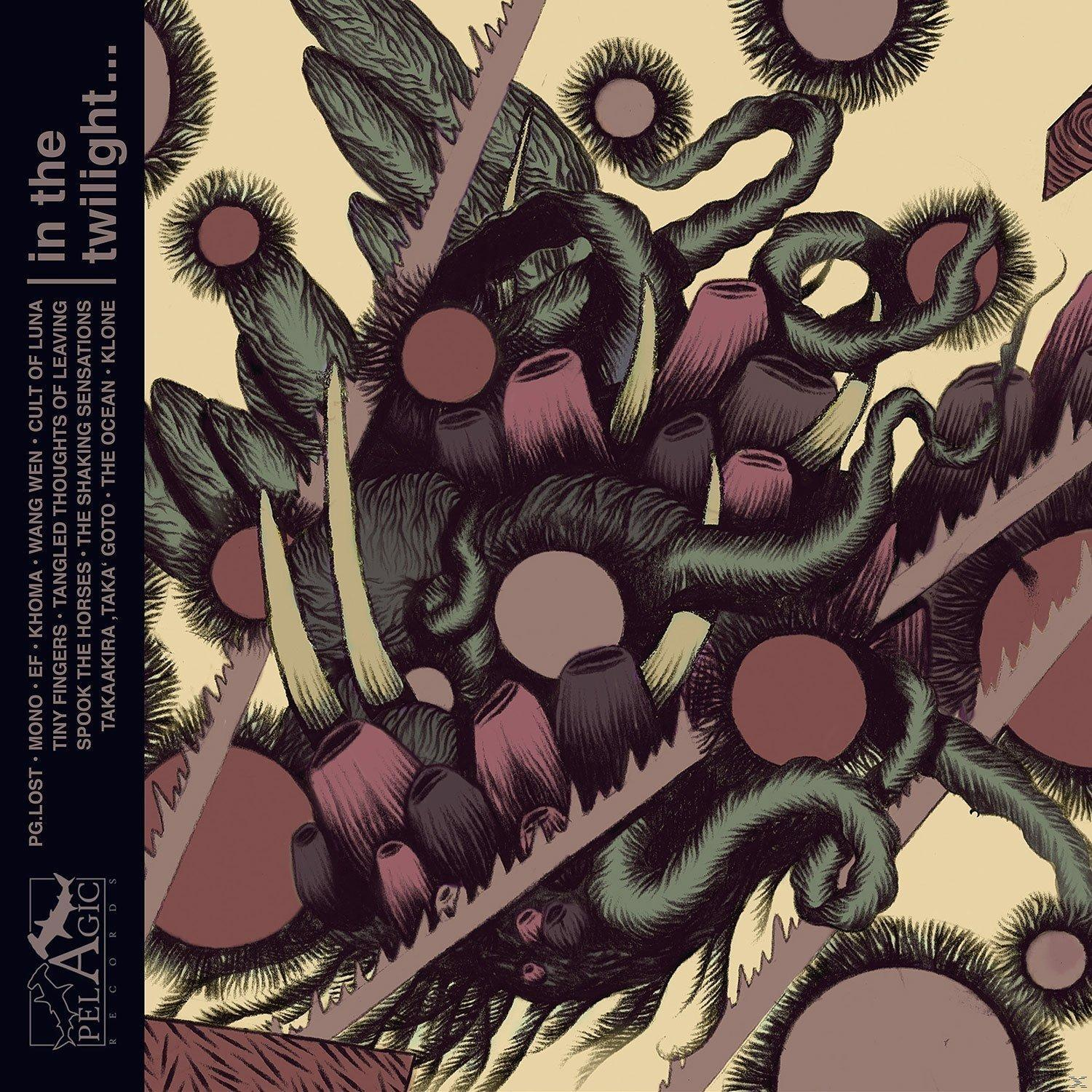 VARIOUS - In The Twilight,These Rocks Have Teeth  - (CD)