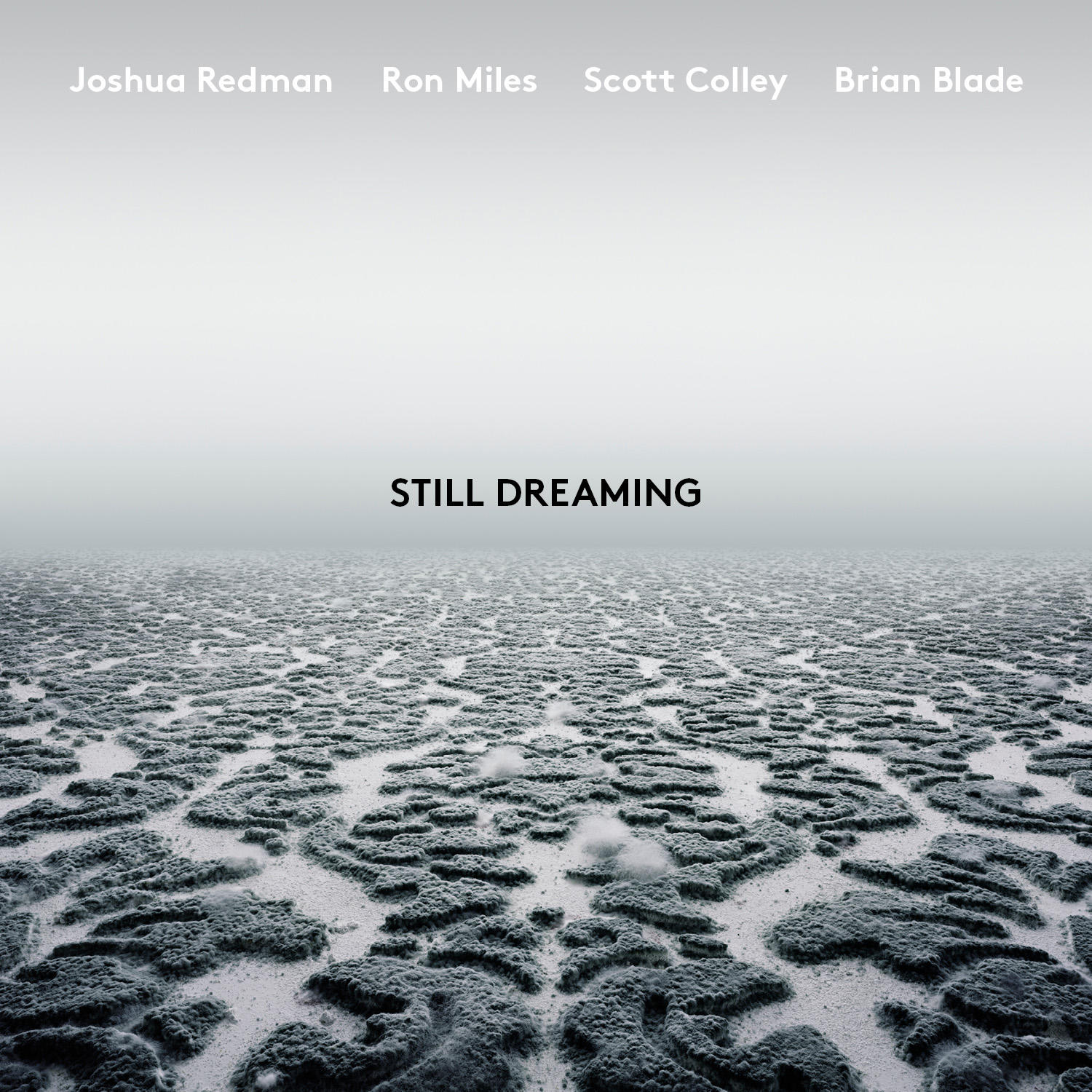 Albumcover mit Text 'STILL DREAMING' über einer strukturierten grauen Landschaft und Künstlernamen.