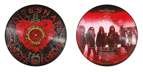 - (Vinyl) Always Forever - And Whitesnake