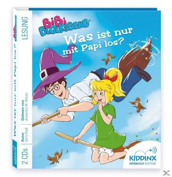 Bibi Blocksberg Buchcover. Zwei Kinder auf Besen. Titel auf Deutsch. Bunter Hintergrund.