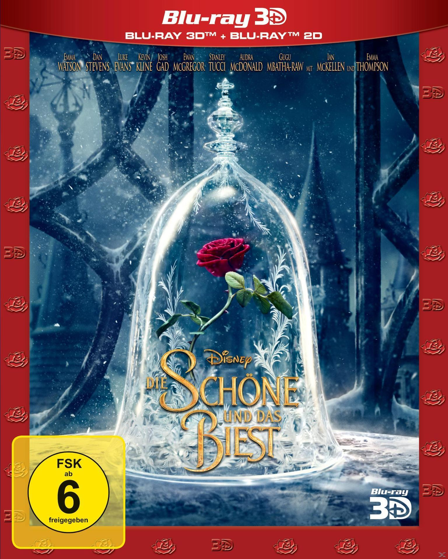 DVD-Cover: Rose in Glaskuppel, Winterszene.