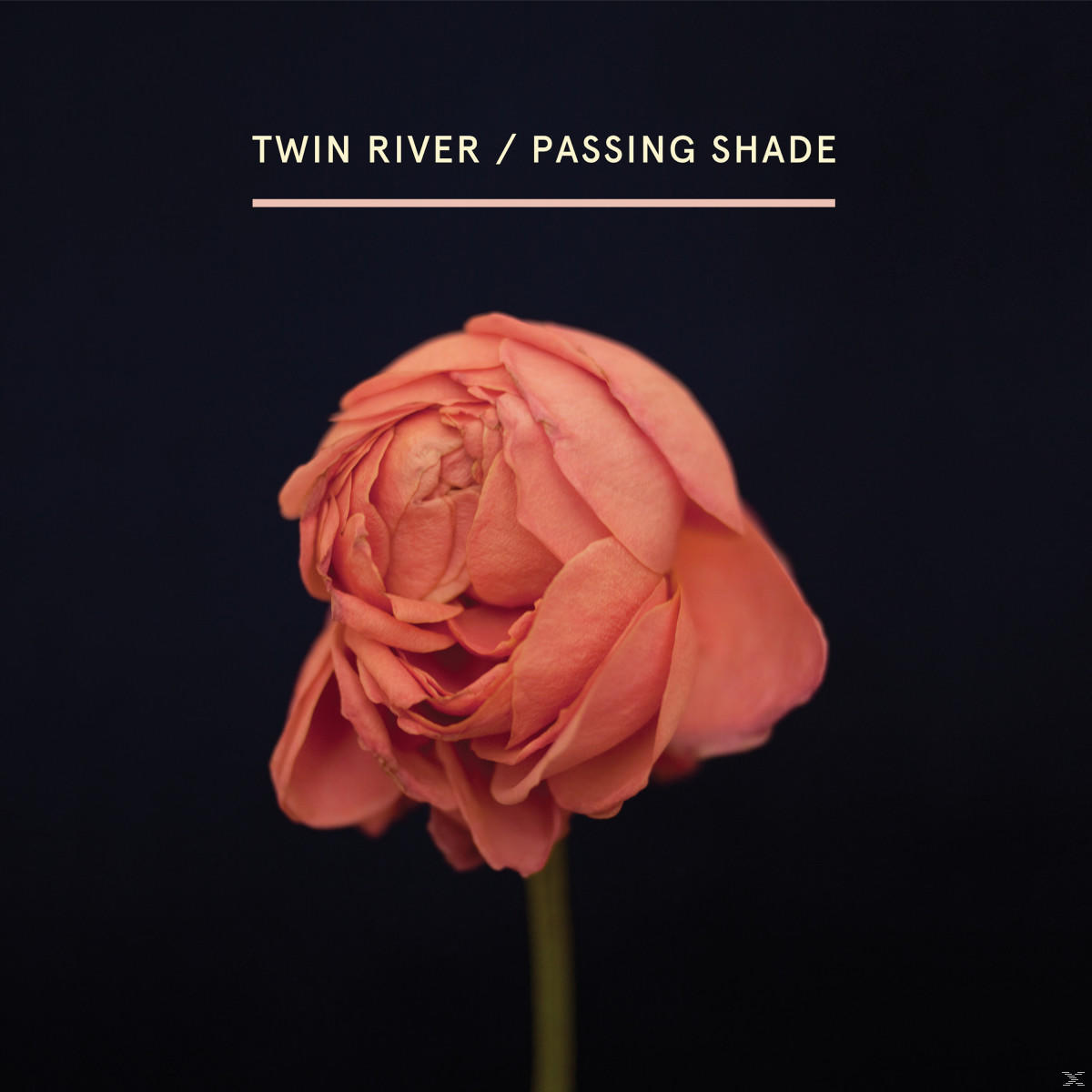 Twin River - Passing Shade (LP+MP3)  - (Vinyl)
