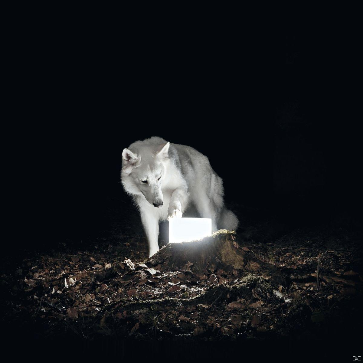 Vanishing Life - Surveillance (Vinyl)  - (Vinyl)