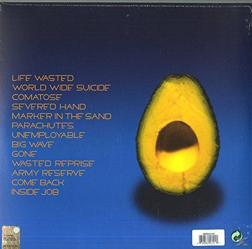 Die Rückseite einer Vinyl-Schallplatte mit Songtiteln und einer halben Avocado vor blauem Hintergrund.