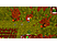 Harvest Life - Nintendo Switch - Tedesco