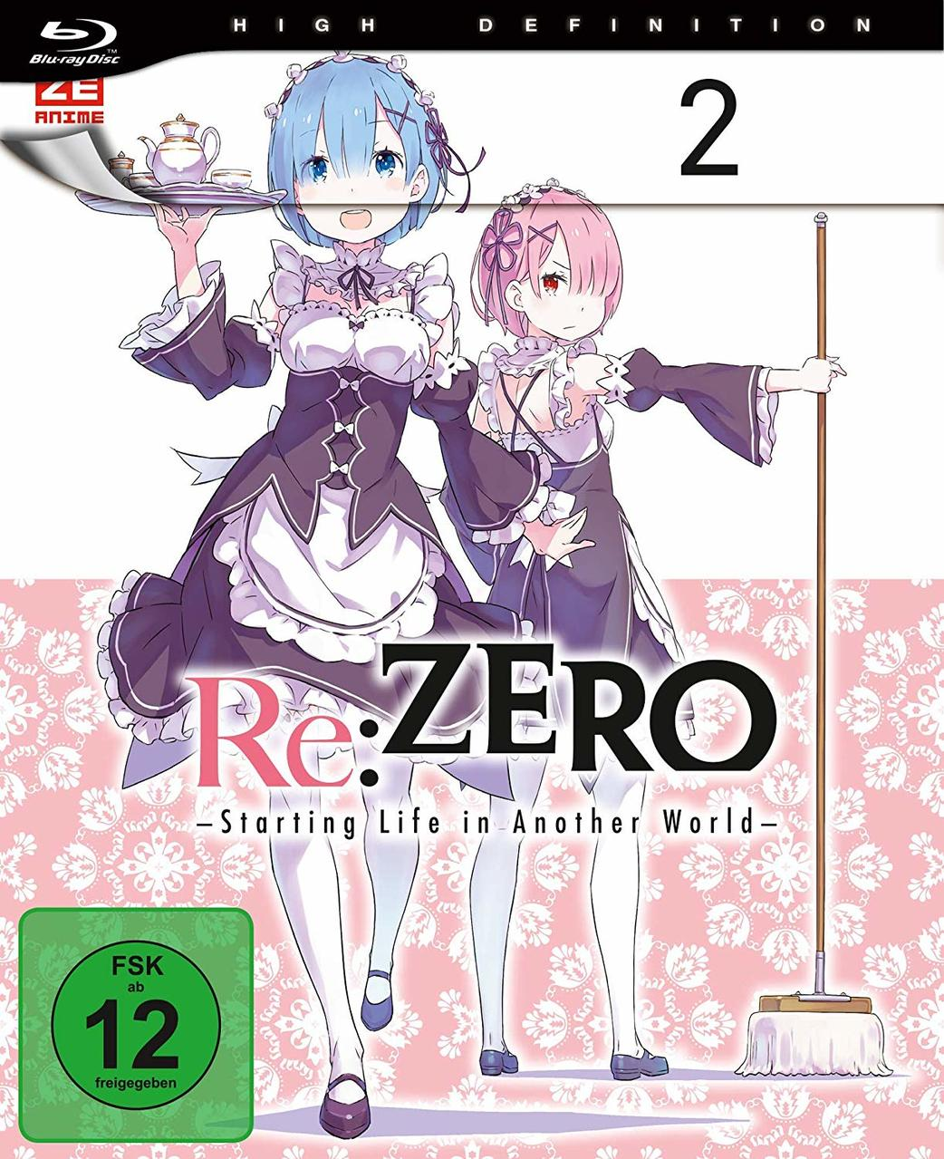 Anime-DVD-Cover mit zwei Mädchen in Maid-Outfits und Text.