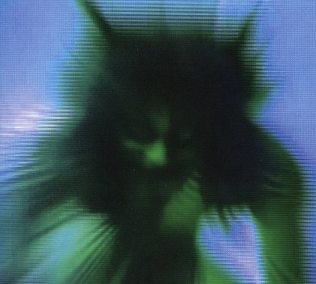 Image floue verte et bleue. Semble être une figure de type chat avec de grandes oreilles.