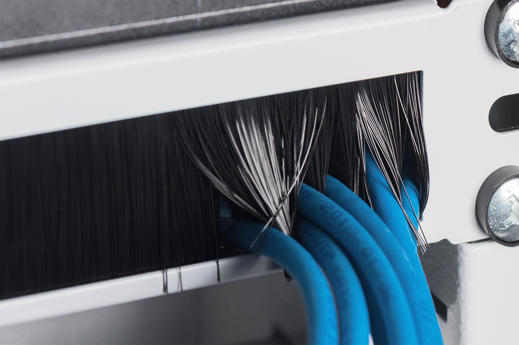 DIGITUS DN-97660 Kabelbürstenleiste mit einer Höheneinheit (1HE) für 19" Schränke Kabelbürstenleiste, Grau