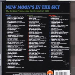 VARIOUS - New Moon\'s Sky In - (CD) The