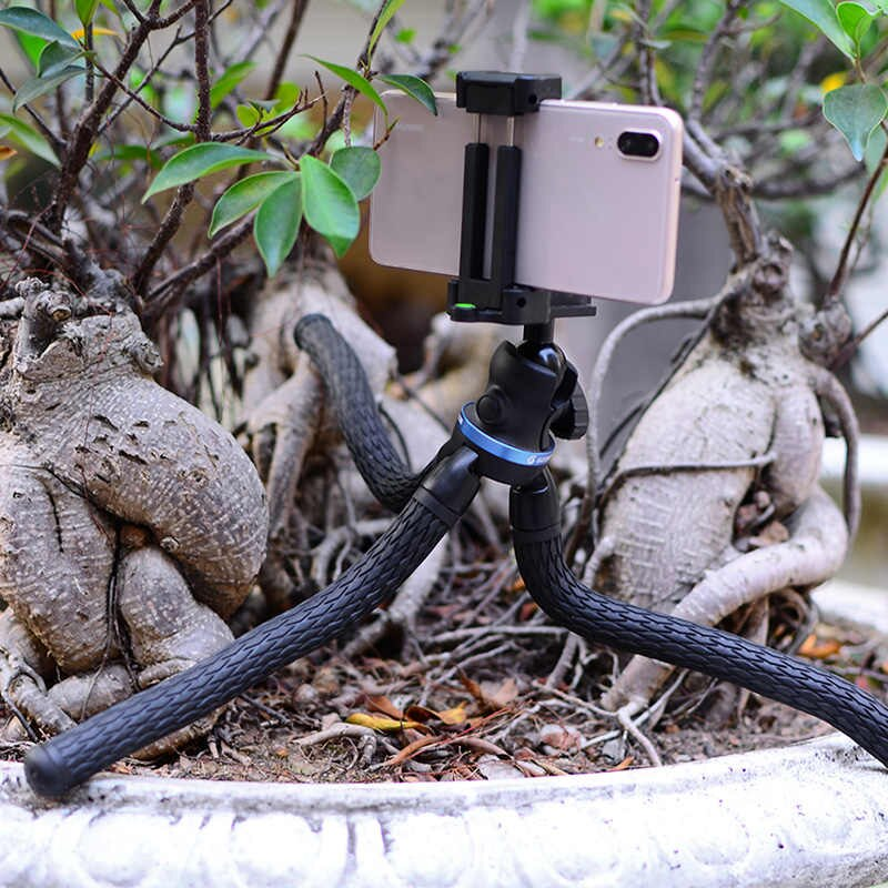 Smartphone auf einem flexiblen Stativ vor einem Bonsai-Baum montiert.