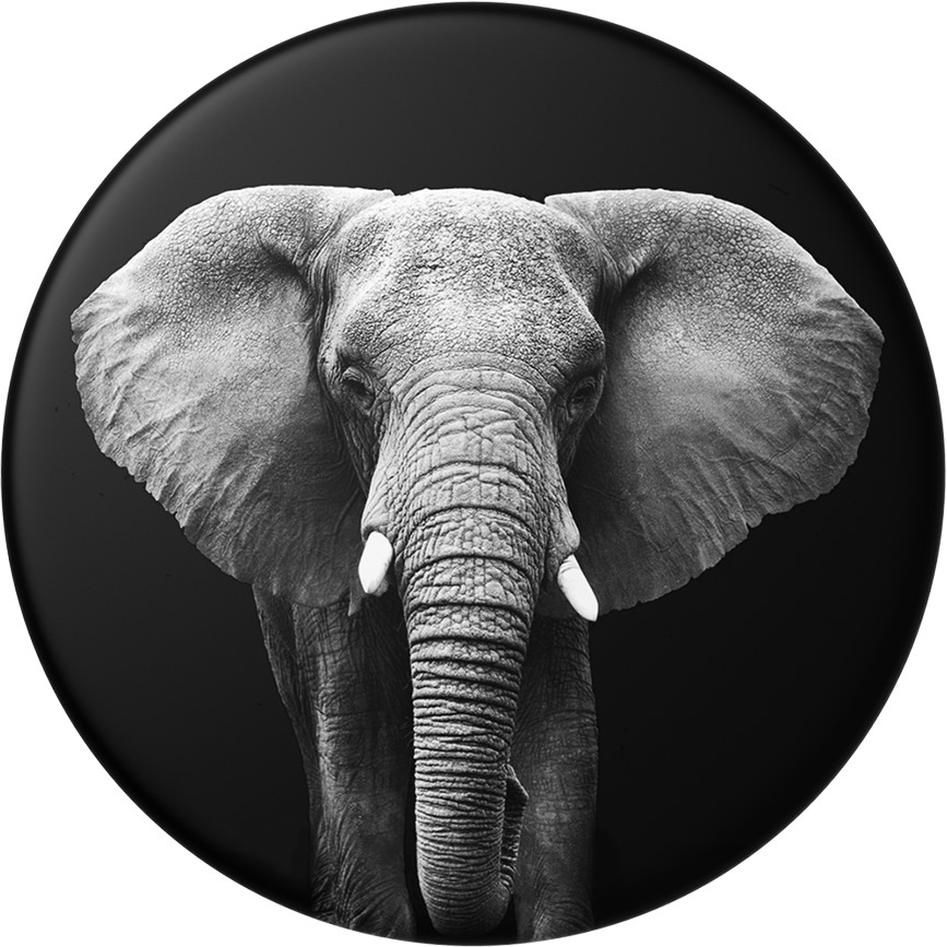POPSOCKETS Loxodonta Africana Phone Grip & Stand , Loxodonta Africana