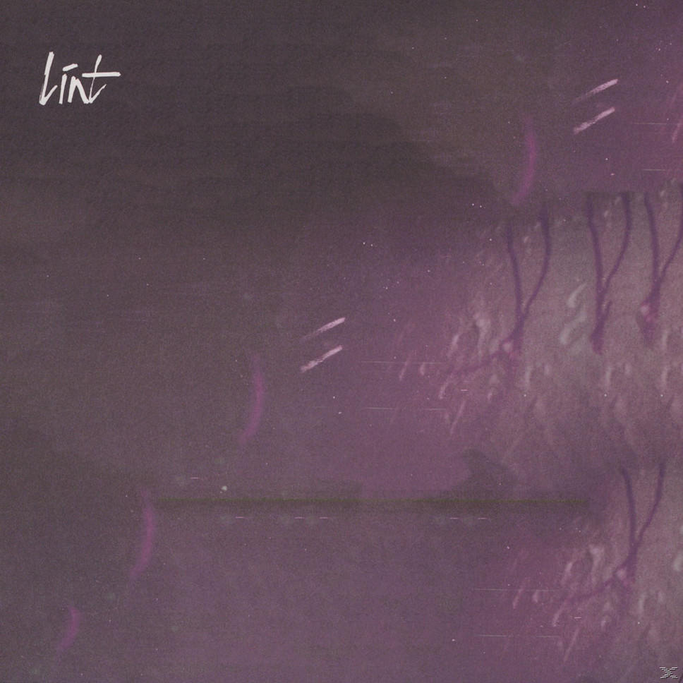 Lint - Lint (EP) - (Vinyl)