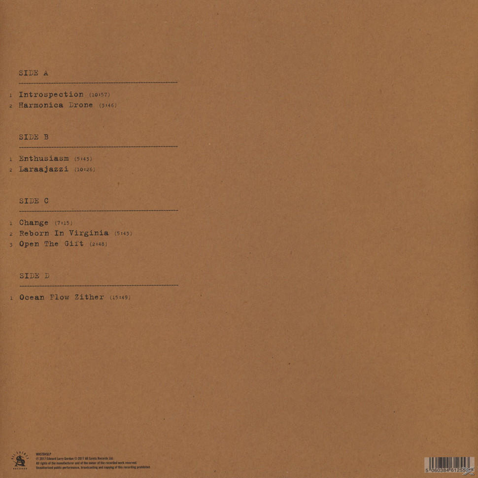 Laraaji - Bring On The Sun (Ltd.2LP+MP3)  - (LP + Download)