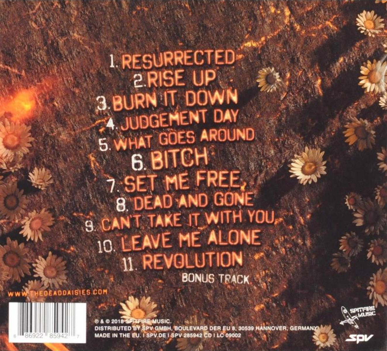 CD-Rückseite mit Trackliste und floralem Design. Brauner Hintergrund mit Gänseblümchen und Text.