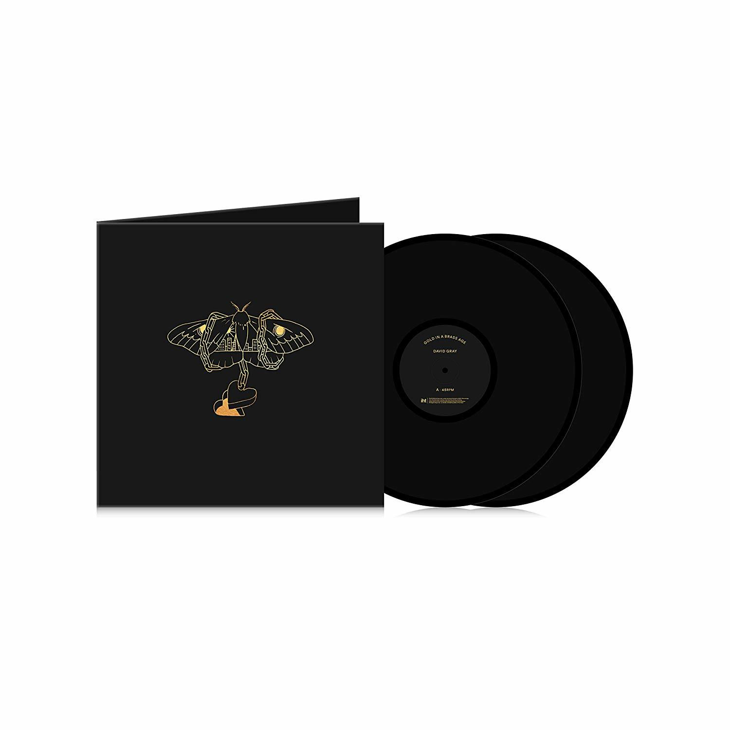 In Gold (2LP) Brass Gray A David (Vinyl) - Age -