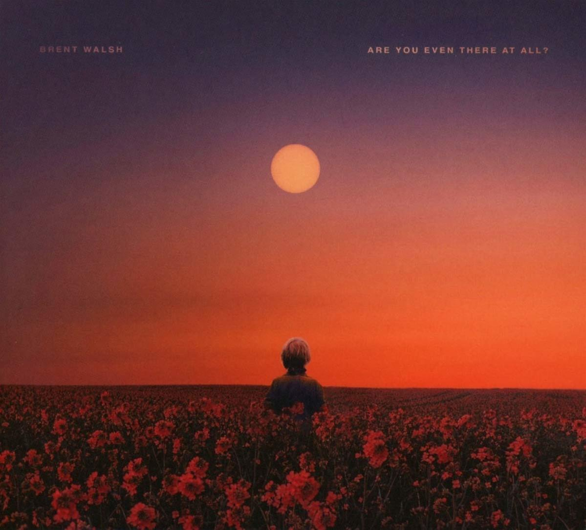 Brent Walsh - Are You Even There At All EP  - (CD)