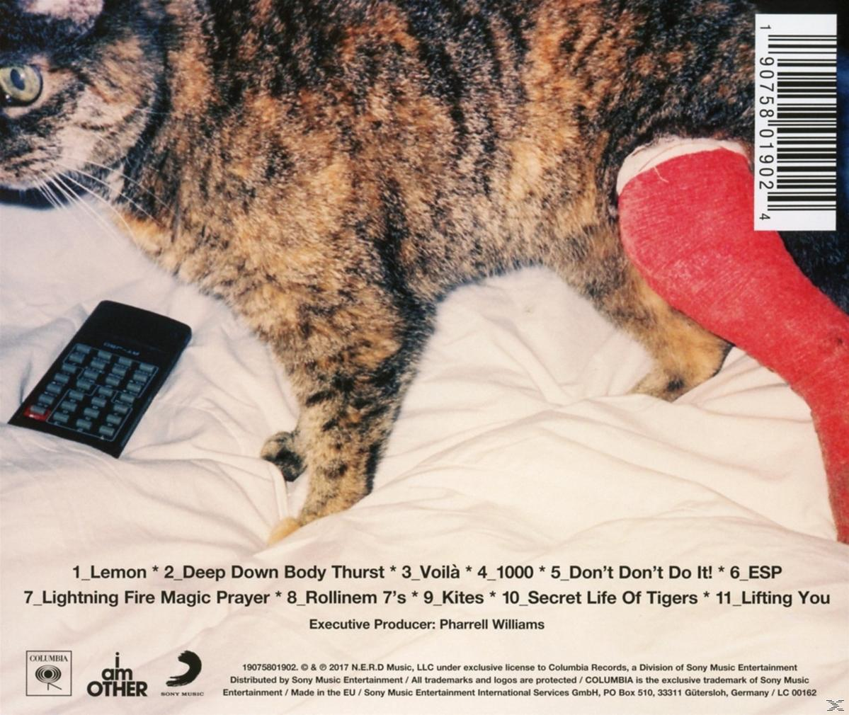 Egy macska bekötött lábbal egy számológép mellett egy ágyon, egy zenei album borítójával.