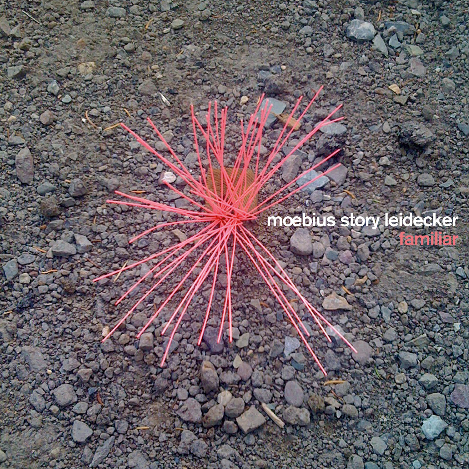 Moebius Story Leidecker - Familiar  - (CD)