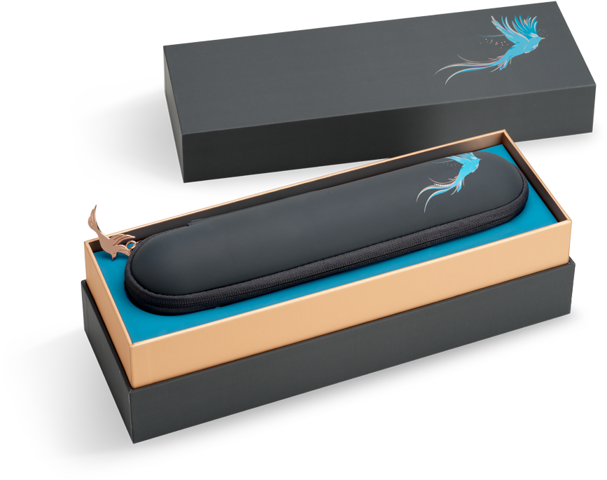 BABYLISS Lisseur sans fil (9000RU)