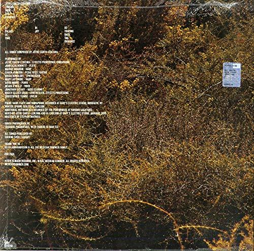 - Jefru Back (Vinyl) Tracing Radiance Cantu-ledesma The -