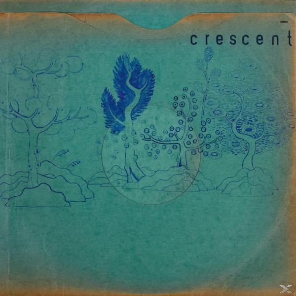 Album borító: Fák rajzoltak teal színben. Cím: crescent. Egyszerű, minimalista design.