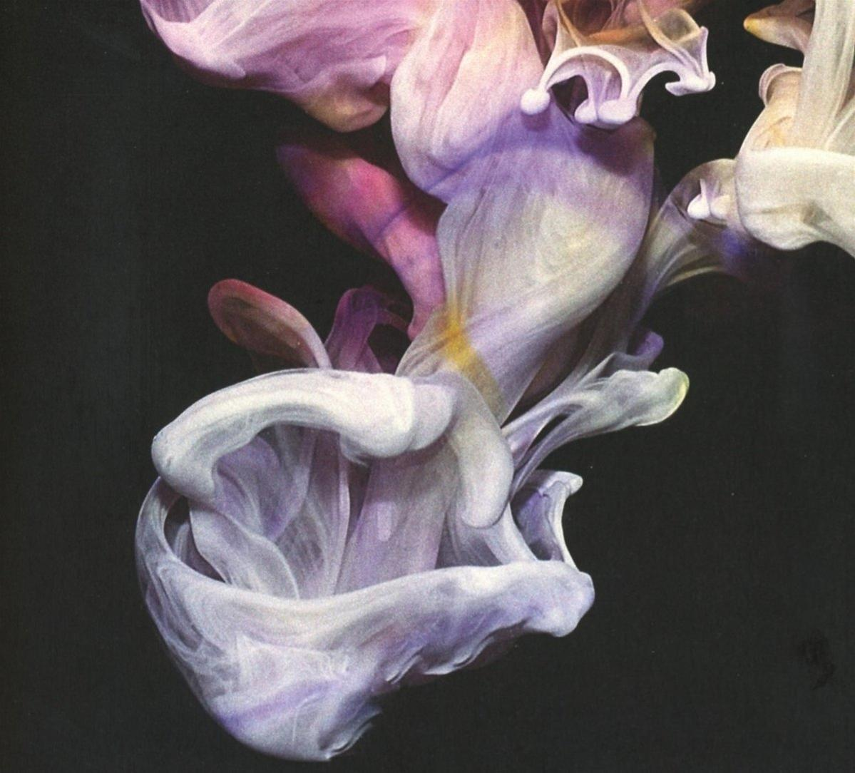 Art abstrait : des violets et blancs fluides sur fond noir. Ressemble à de la fumée ou du tissu.