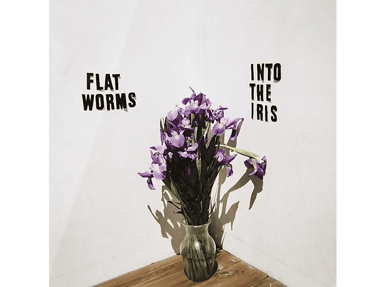 INTO THE IRIS | MediaMarkt