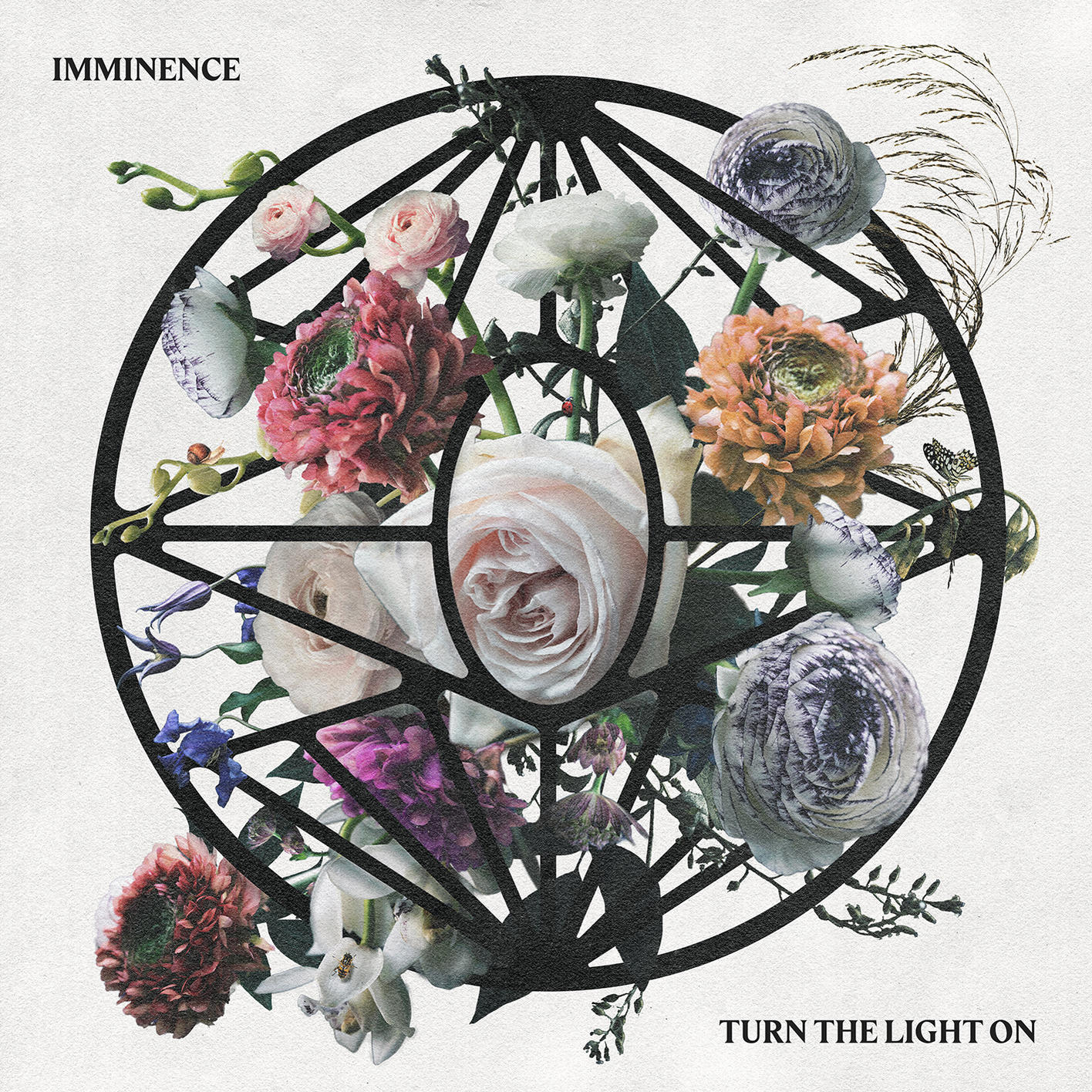 Imminence - Turn the Light On  - (CD)