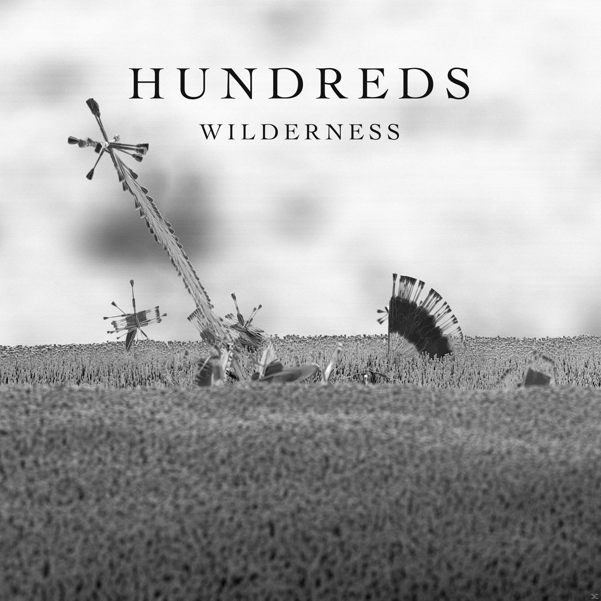 Schwarz-Weiß-Bild: Windmühlenwrack auf einem Feld mit den Worten 'HUNDREDS' und 'WILDERNESS'.